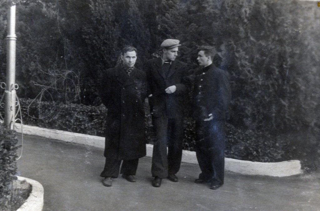 Хоста. Пирогов, Артемьев, В. Разумовский.jpg Хоста. Пирогов, Артемьев, В. Разумовский.jpg