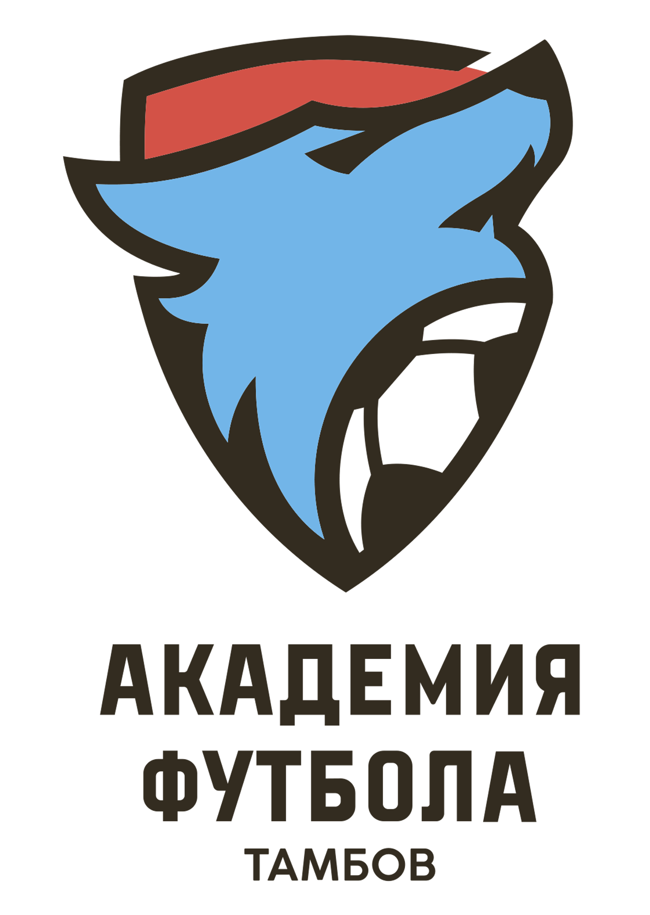 Akademiya futbola